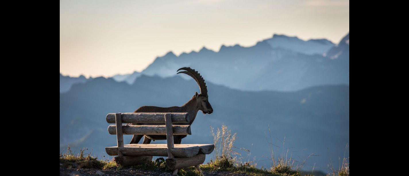 Podcast Folge: Pilatusdrachen